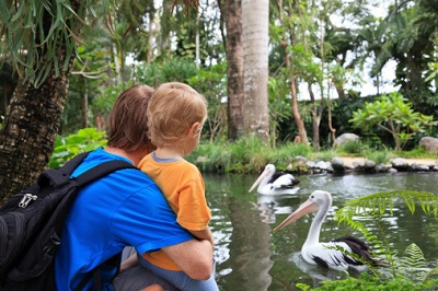 family zoo educational summer