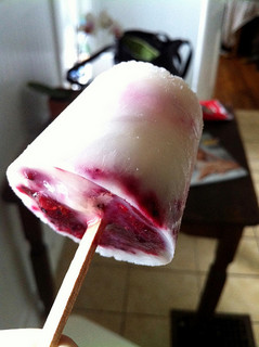 Cool Down Your Children Down with Healthy Homemade Popsicles