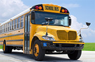 Field Trips