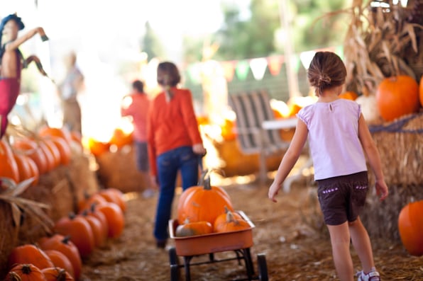 fall activities for families