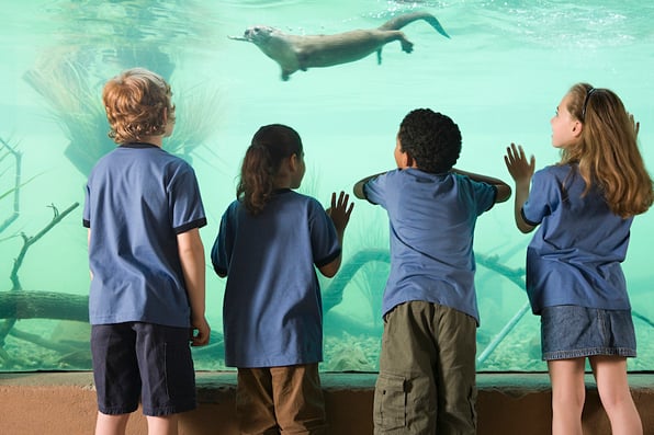 students on a field trip