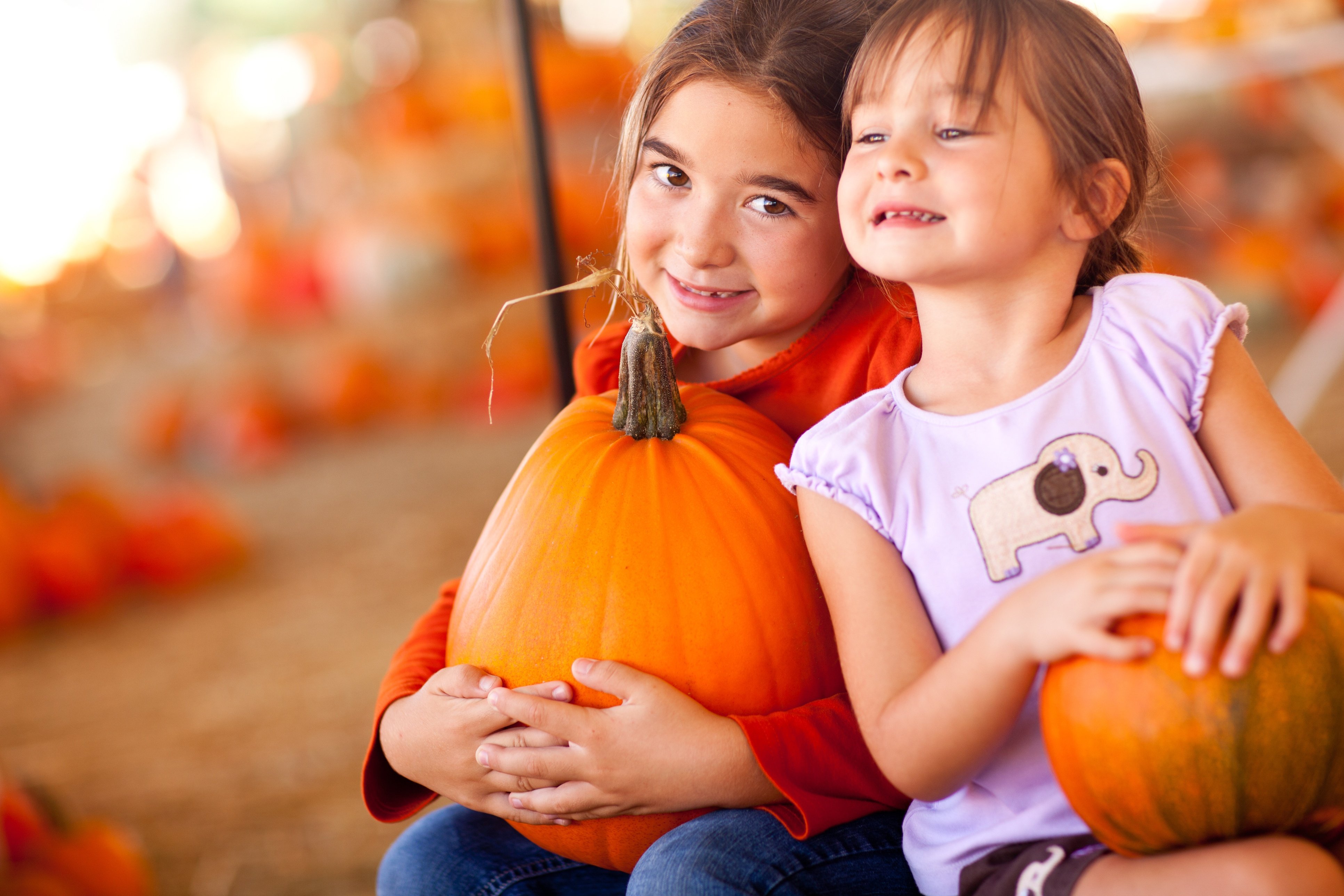 Pumpkins for Preschoolers: Games, Songs, Snacks and More